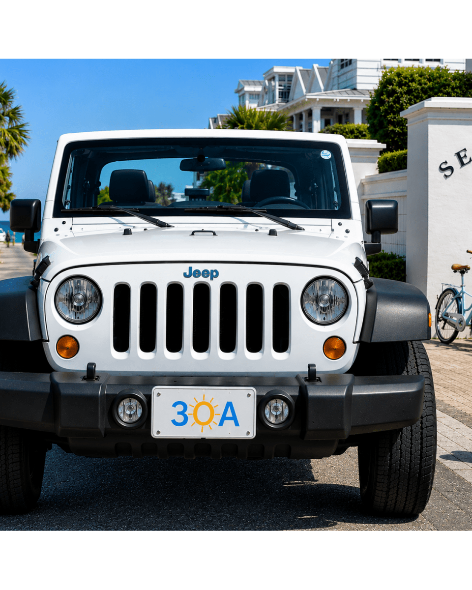 30A Auto License Plate - 30A Gear - Auto Access