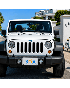 30A Auto License Plate - 30A Gear - Auto Access