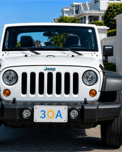 30A Auto License Plate - 30A Gear - Auto Access