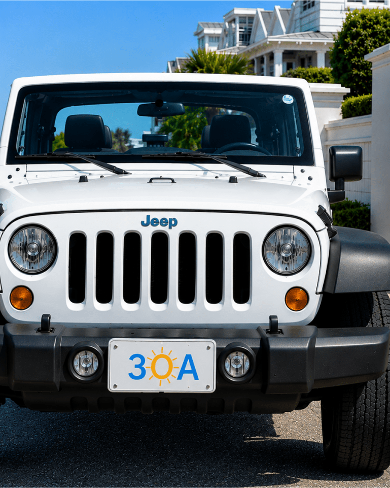 30A Auto License Plate - 30A Gear - Auto Access