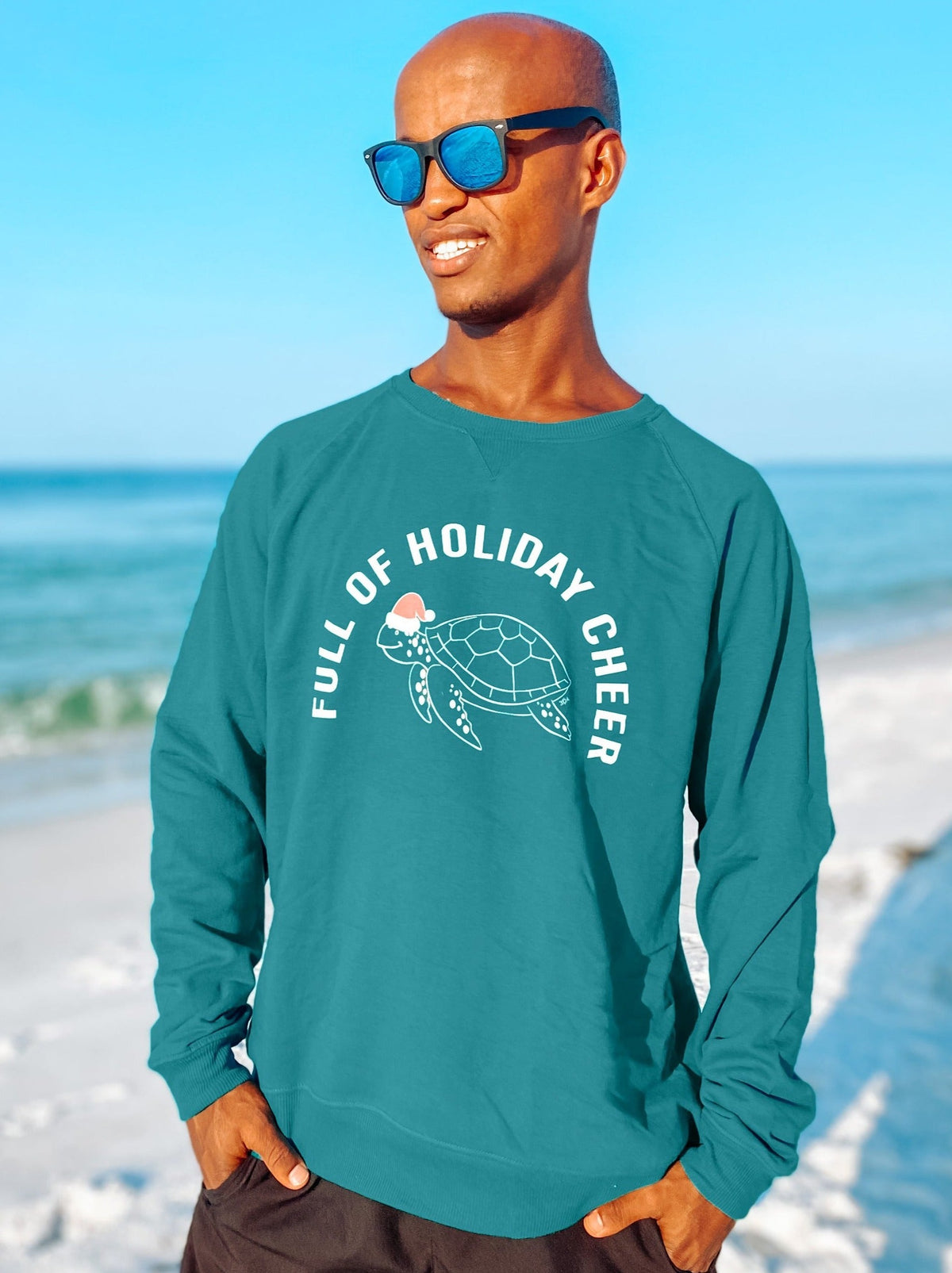 Holiday Turtle Sweatshirt